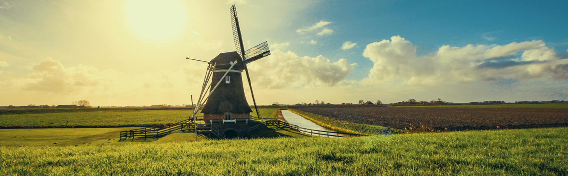 Dutch Translation Services Dubai